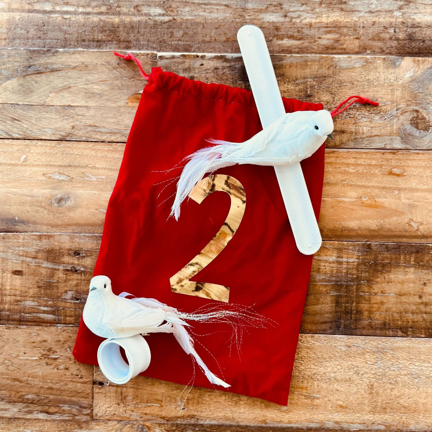 12 Days of Christmas Props